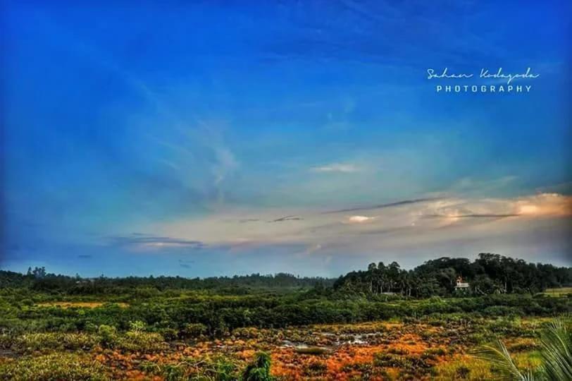 Deutsche Villa Hikkaduwa Buitenkant foto