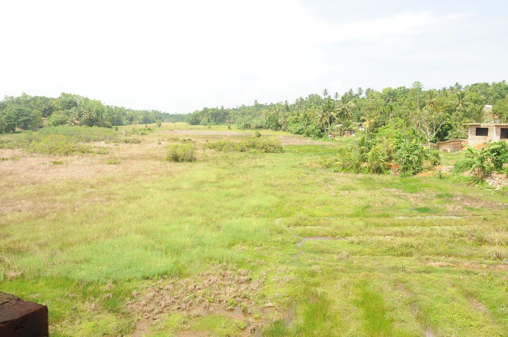 Deutsche Villa Hikkaduwa Buitenkant foto