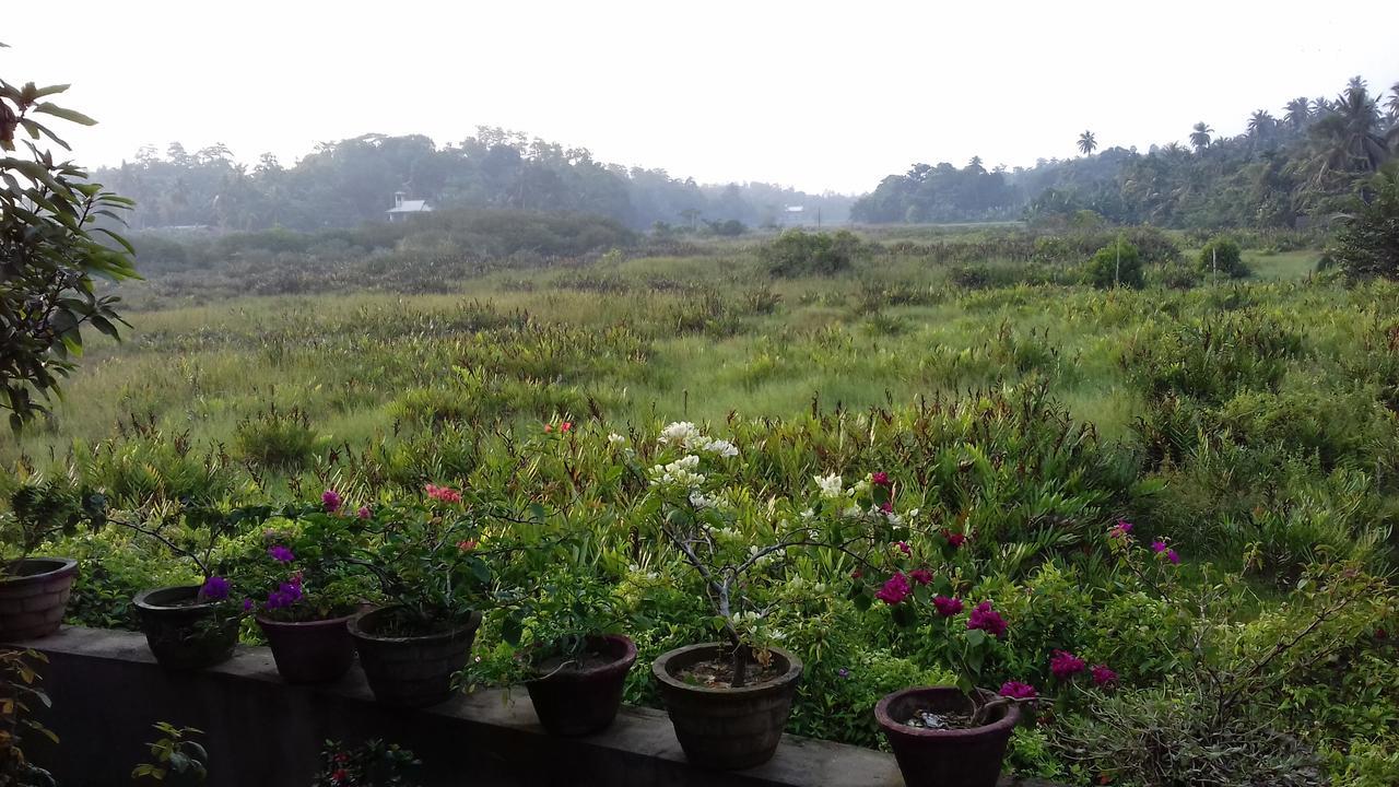 Deutsche Villa Hikkaduwa Buitenkant foto